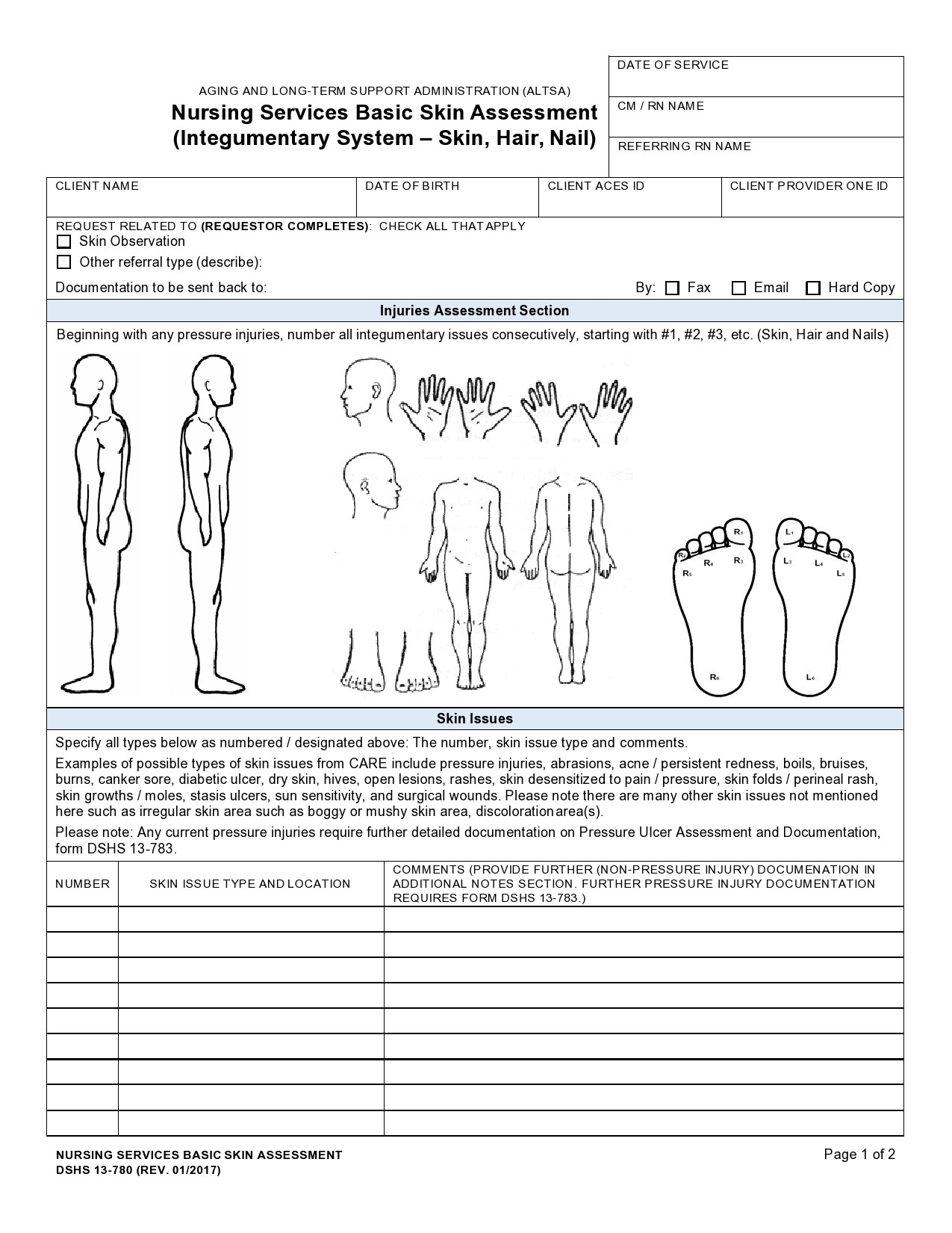 39 Printable Nursing Assessment Forms Examples 