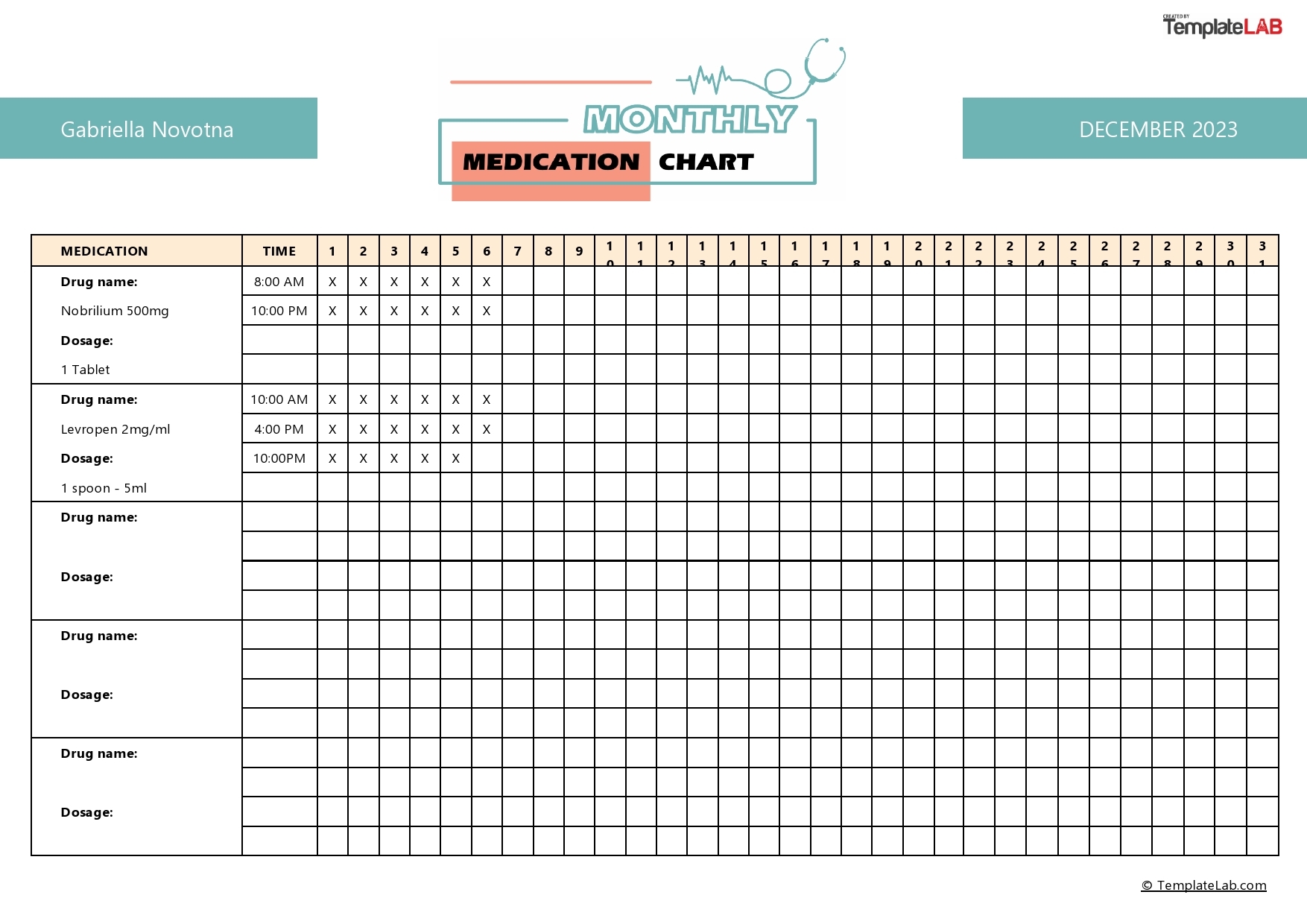 Printable Medication List Form