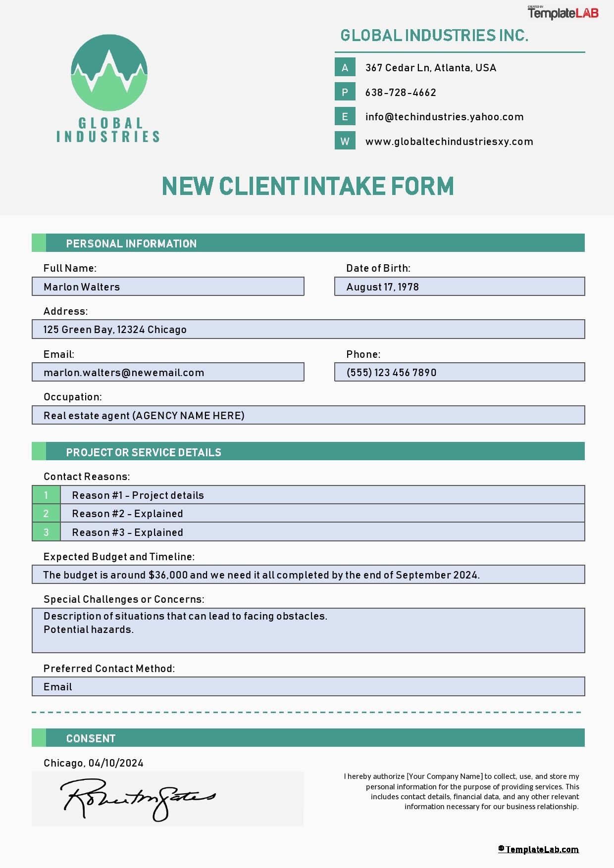 56 Printable Client Intake Forms FREE Templates TemplateLab