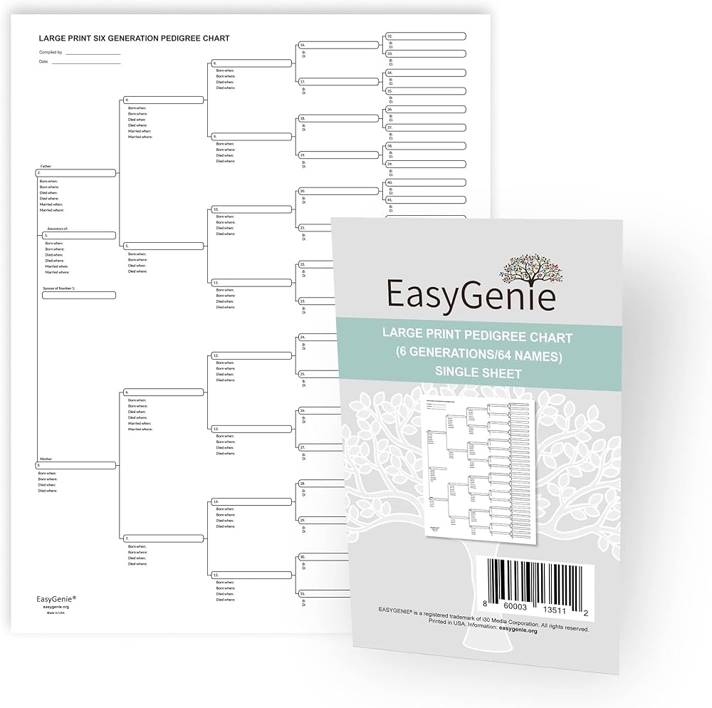 EASYGENIE Large Print Blank Family Tree Chart 6 Generations 64 Names For Ancestry Single Sheet Archival Grade Forms Amazon de Home Kitchen