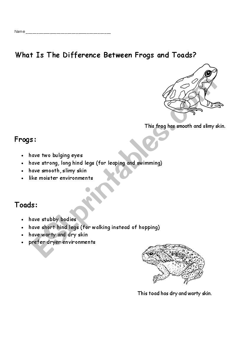 Frog And Toad Informational Text ESL Worksheet By Eileenclaire