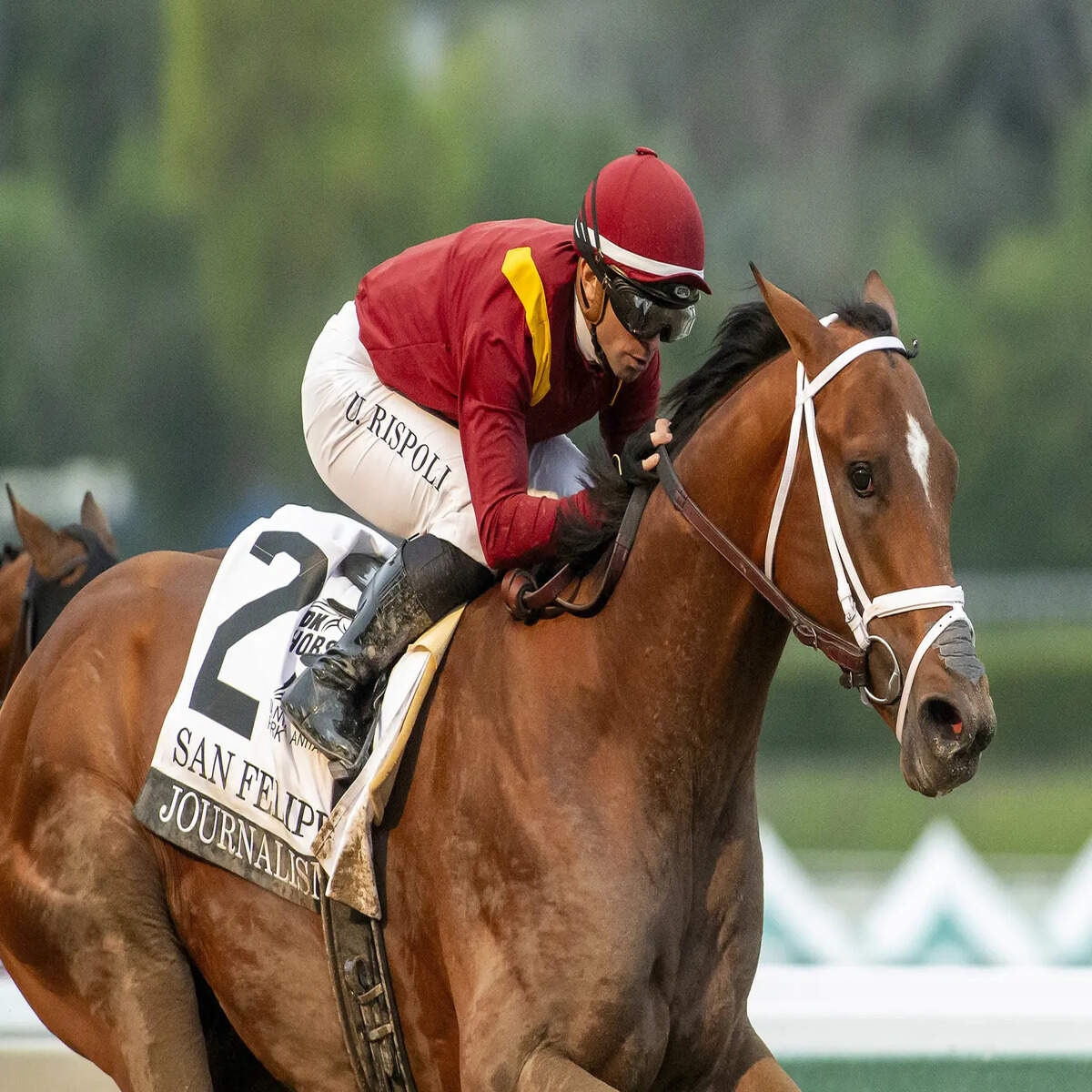 Kentucky Derby 2025 Kentucky Derby 2025 Top Contenders Odds And How To Watch The Race Live On TV And Streaming The Economic Times