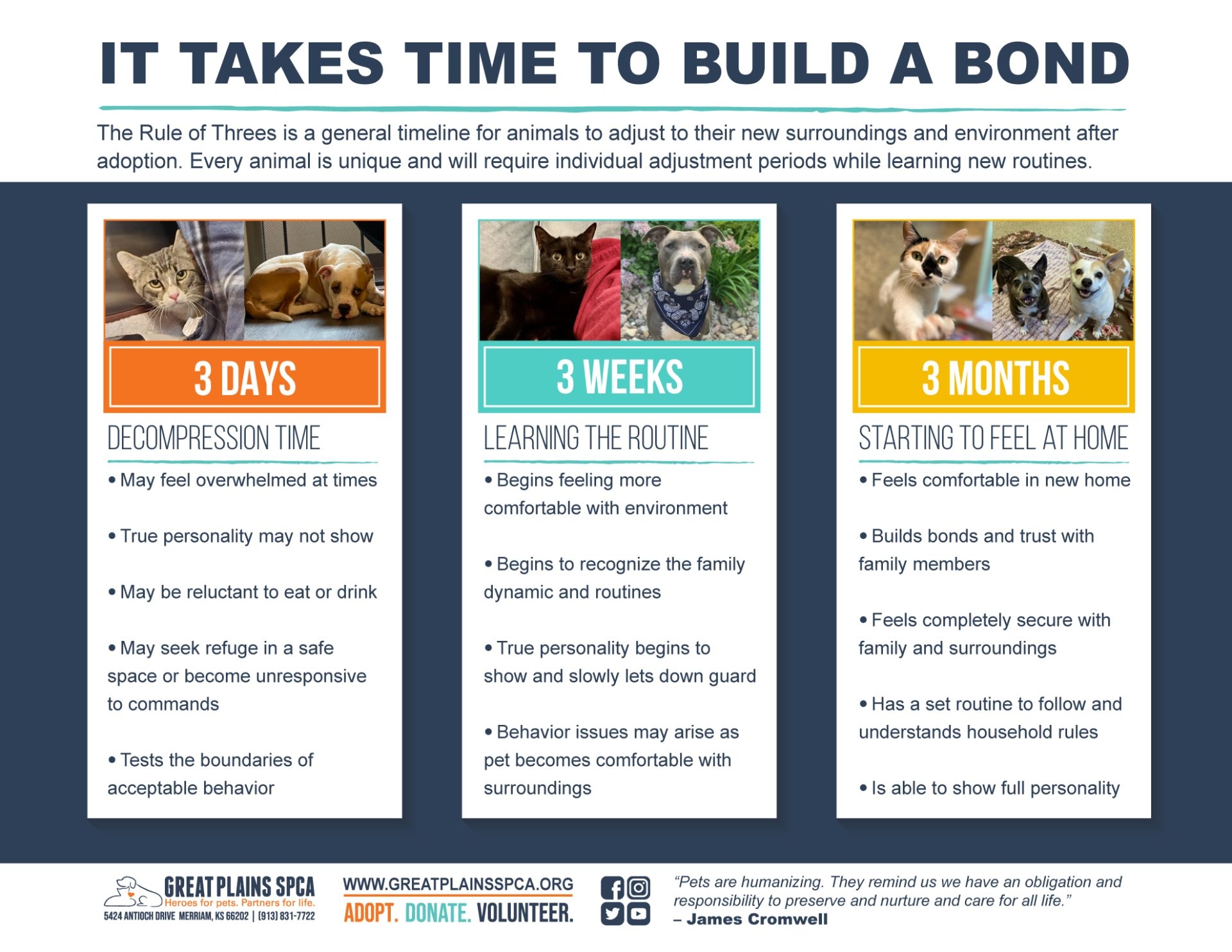 Surrender A Pet Great Plains SPCA